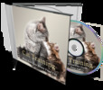 Thumbnail Cat Training Thumbnail Cat Training