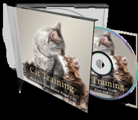 Product picture Cat Training