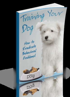 Product picture Training Your Dog